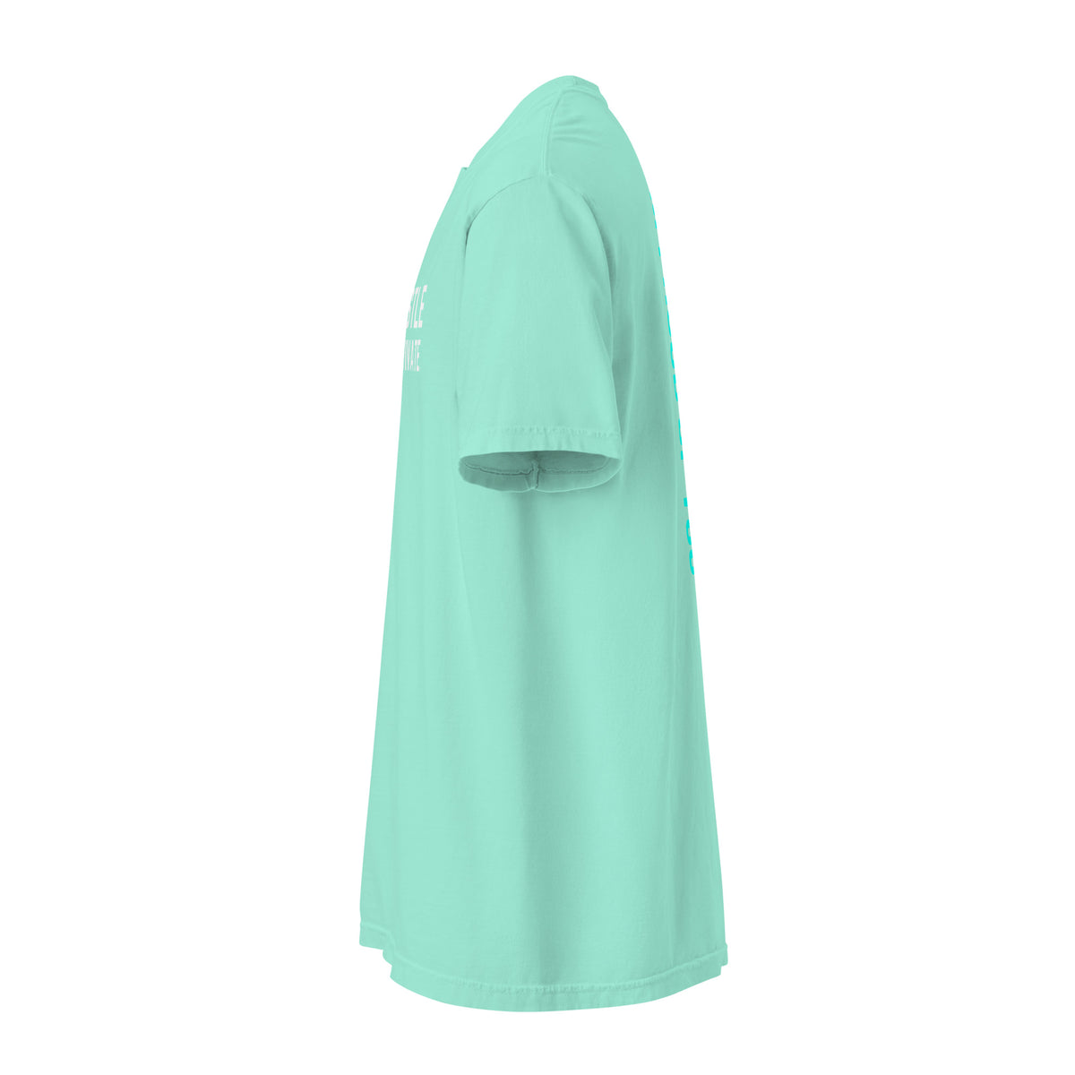 Chalky Mint Hustle Motivate heavyweight T-shirt, left side view with plain short sleeve.